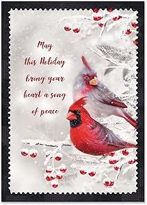 Current Winter Cardinal Christmas Greeting Cards Set - Set of 18 Large 5 x 7-Inch Folded Cards, Themed Holiday Card Value Pack, Envelopes Included Cardinal Christmas Cards, Cardinal Christmas, Winter Cardinal, Religious Christmas Cards, Christmas Sentiments, Holiday Lettering, Humming Bird, Greeting Card Set, Christmas Greeting