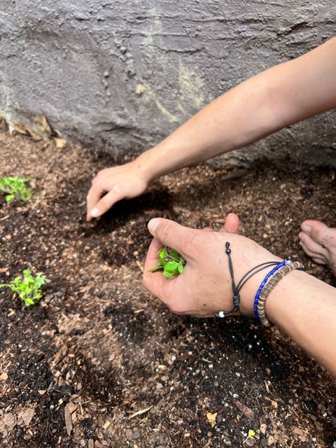 vein arms, men, aesthetic, gardening, garden, dirt, planting, plants, men planting plants Arms Men Aesthetic, Plant Dad Aesthetic, Man Gardening, Aesthetic Gardening, Dad Aesthetic, Man Hands, Planting Plants, Swiss Family Robinson, Book Edits