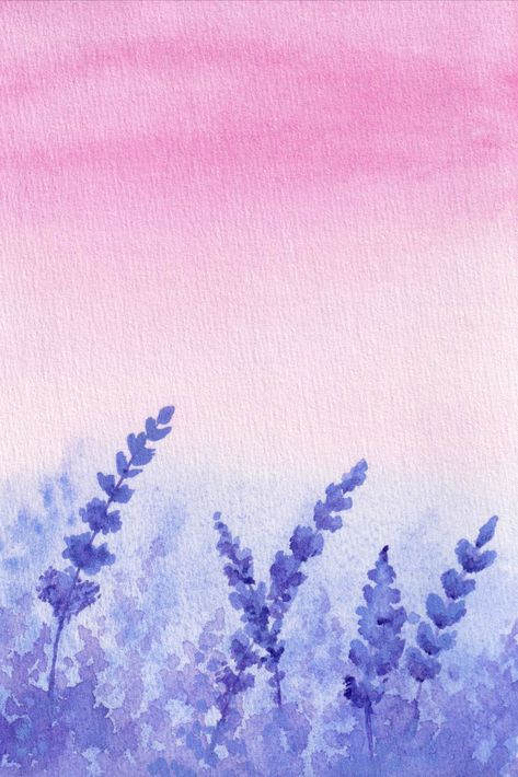 Landscape Lavender, Dawn Sky, Lavender Field, Sky Background, Diy Watercolor, Purple Lavender, Lavender Fields, Watercolor Inspiration, Small Business Ideas