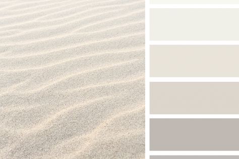 Soul Colors, Beachy Colors, Gold Office, White Windows, Design Seeds, Latest Colour, Cd Cover, Sand Color, Colour Palettes