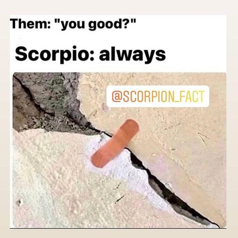 Funny Scorpio Quotes, November Scorpio, Scorpio Funny, Scorpio Sun Sign, Scorpio Personality, Zodiac Quotes Scorpio, Astrology Scorpio, Best Zodiac Sign, Scorpio Zodiac Facts