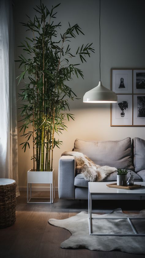 Transform your living space into a serene oasis with this stunning IKEA-inspired design featuring a tall bamboo plant. Nestled in a minimalist white planter, the bamboo adds a touch of nature beside a sleek LACK coffee table. Cozy up on a soft EKTORP sofa, complemented by a luxurious RENS sheepskin rug. The VÄXBO picture frame wall brings personality to the room, while the warm glow from a KNAPPA pendant lamp creates an inviting atmosphere. Discover how to achieve this calm and stylish look in your home! #IKEAStyle #BambooDecor #LivingRoomInspo Bamboo Arrangement, Lack Side Table, Ikea Inspired Living Room, Lack Coffee Table, Ikea Style, Ektorp Sofa, Ikea Living Room, Bamboo Decor, Living Room Goals