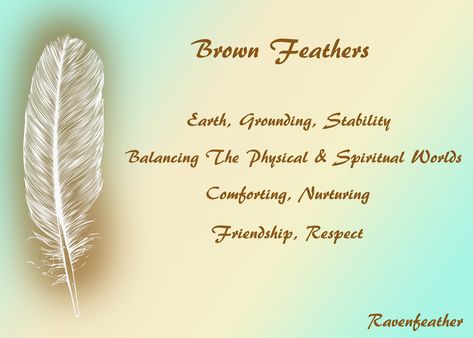 Brown Feathers Brown Feather Meaning, Feather Color Meaning, Feather Identification, Feather Magic, Smudging Prayer, Feather Symbolism, Feather Meaning, Native American Wisdom, Angel Signs