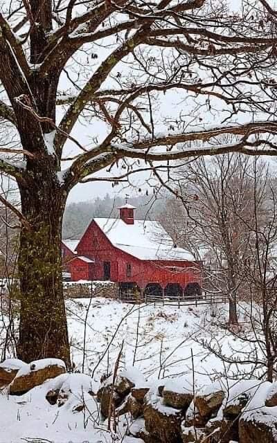 Barn Pictures, Country Barns, Farm Living, Interesting Buildings, Country Scenes, Farm Barn, Winter Scenery, Crazy Life, Down On The Farm