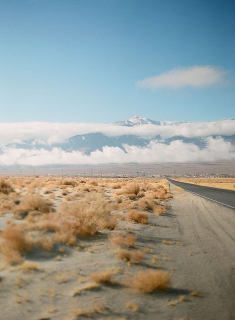 Valhalla Aesthetic, Desert Road Trip, Color Palette Neutral, Beauty Confidence, Desert Aesthetic, Desert Road, Hunter Bell, Road Photography, Desert Dream