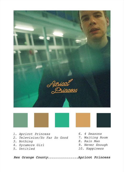 Apricot Princess Rex Orange County, Apricot Princess Poster, Rex Orange Country Poster, Rex Orange County Aesthetic Poster, Rex Orange County Apricot Princess, Rex Orange County Poster, Apricot Princess, Rex Orange County, Posters On Wall Bedroom