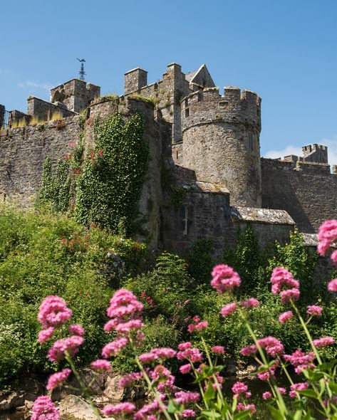 MUST places to visit in Ireland, PT. 1️⃣ If you are planning to explore Ireland anytime soon, you might want to add some of these spots to your bucket lists. Some of them are well known, some not as much. But all of them are definitely bucket list-worthy. ☺️🙌 I will be sharing more of these, so keep an eye out. 👀 📍Sheep’s Head Lighthouse (hike), County Cork 📍Cliffs of Moher, County Clare 📍The Old Head of Kinsale, County Cork 📍Dromana Gate, County Waterford (the only one of it’s kind in Ire... County Clare Ireland, Clare Ireland, Semester Abroad, Old Head, County Clare, County Cork, Cork Ireland, Cliffs Of Moher, Bucket Lists