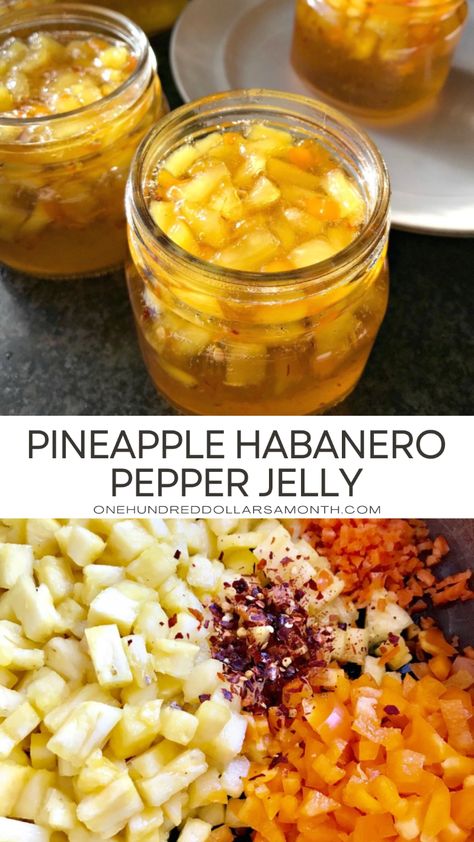 Pineapple Habanero Pepper Jelly - One Hundred Dollars a Month Habenero Jelly, Habanero Pepper Jelly Recipe, Habanero Jelly Recipe, Habanero Pepper Jelly, Habanero Jelly, Toasted Crackers, Pineapple Jelly, Pepper Jelly Recipes, Habanero Pepper