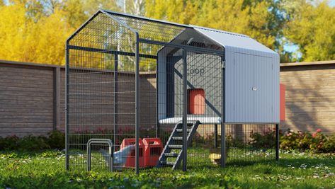 Coop brings smart home tech to backyard chickens | Popular Science Metal Chicken Coop Ideas, Backyard Coop, Chicken Home, Chicken Eating, Laying Hens, Backyard Chicken Coops, Litter Tray, Backyard Farming, Backyard Chickens