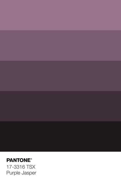 PANTONE 17-3316 TSX Purple Jasper Color Shades · Discover Color Guide of 203 trend-driven, neutral, bright, and pastel Pantone Polyester TSX Colors, dyed on 100% polyester fabric for Interiors · #Pantone #Polyester #Swatch #ColorTint · @pantonecolor · Kid’s Pattern Pastel Pantone, Pantone Color Palette, Purple Jasper, Color Palette Inspiration, Jasper Color, Pantone Colour Palettes, Palette Inspiration, Color Guide, Colors Palette