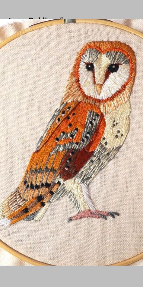 Initial Embroidery, Embroidered Owl, Needle Painting, Owl Embroidery, Painting References, Inkle Weaving, Textile Inspiration, Hand Sewing Projects, Embroidery Tshirt