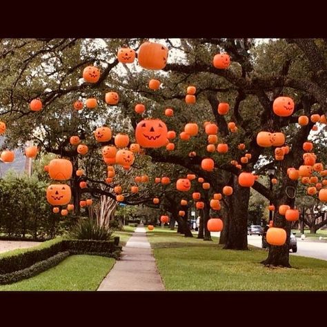 🎃🎃🎃🎃 Goals! Never even thought to do this. Having a giant tree in the front would really help...hence, goals. But seriously cool though I… Diy Halloween Dekoration, Moldes Halloween, Dekorasi Halloween, Labu Halloween, Halloween Decor Diy, Casa Halloween, Halloween Memes, Holiday Deco, Diy Halloween Decor