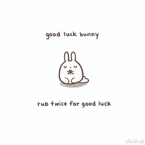 Good luck Goodluck Quotes, Good Luck Drawing, Chi Bird, Motivational Drawings, Cute Good Luck, Cheer Up Quotes, Rabbits Foot, Message Positif, Fluffy Bunny