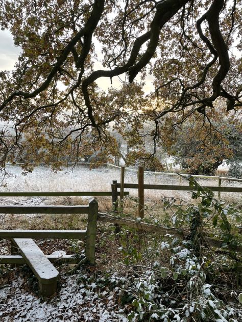 Winter Countryside Aesthetic, Late Winter Early Spring Aesthetic, Cold Spring Aesthetic, Winter Cottagecore Aesthetic, Winter Spring Aesthetic, Spring Academia, Countryside Christmas, Cottage Winter, Cottagecore Winter