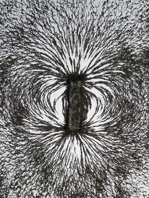 Magnetic Field Lines of a Bar Magnet | Iron filings are spri… | Flickr Avantgarde Fashion, Magnet Drawing, Berenice Abbott, Art Science, Underwater Life, Magnetic Field, Vintage Cameras, Electrical Engineering, Science Art