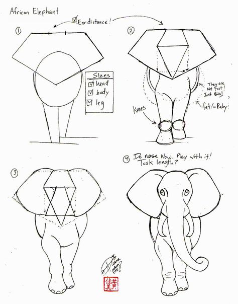 Draw An Elephant, Trin For Trin Tegning, Elephant Drawing, Elephant Art, Pencil Art Drawings, An Elephant, Drawing Lessons, Step By Step Drawing, Art Drawings Simple