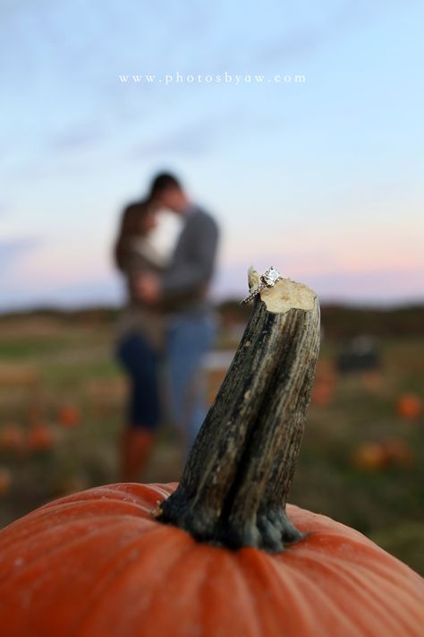 Engagement Pumpkin, Pumpkin Patch Engagement, Amanda Wilson, Fall Couple Pictures, Pumpkin Patch Photoshoot, Fall Engagement Shoots, Fall Couple Photos, Fall Photo Shoot Outfits, Fall Farm