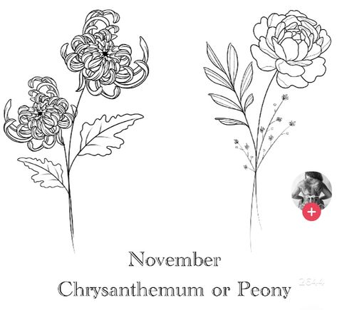 November Birth Flower Tattoo Peony, Chrysanthemum Peony Tattoo, Crysanthemum Tattoo Design Fine Line, Chrysanthemum And Peony Tattoo, Peony Tattoo Simple, Peony Fine Line Tattoo, Crysanthemum Tattoo Simple, Chrysanthemum Tattoo Design, Noah Tattoo