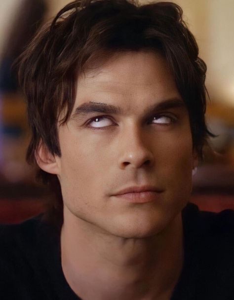 Ian Somer, Damon Salvatore Tumblr, Black Doberman, Vampire Diary, Ian Joseph Somerhalder, Ian Somerhalder Vampire Diaries, Damon Salvatore Vampire Diaries, Vampire Diaries Funny, Ian Somerhalder