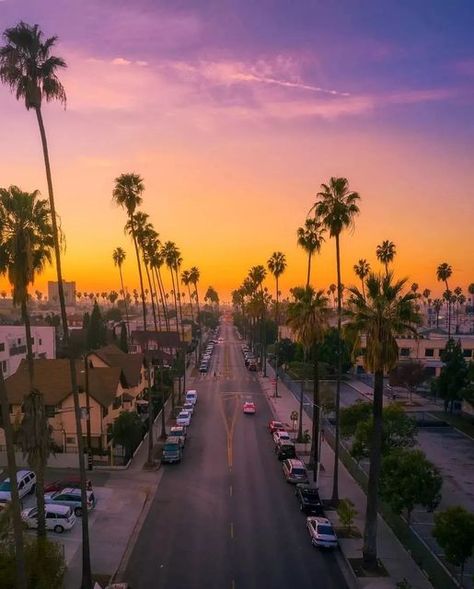 California shots on Instagram: "If you Like these Palm trees and the sky, then you have the right to like and follow 🤣😉 . . 📸 Amazing shot by: @jdubyah_ . . #losangelesphotographer #losangeles #losangelesbride #swtlosangeles #losangelesyoga #losangeleslifestyle #portoflosangeles #losangelesactor #losangelesfamilyphotographer #explorelosangeles #losangelesfitness #cityoflosangeles #instalosangeles #uberlosangeles #westlosangeles #losangelesstyle #losangelescity #losangelesevents #thisislosange Usa Facts, Los Angeles Wallpaper, Los Angeles Apartments, Dream Landscape, Los Angeles Travel, West Los Angeles, Los Angeles City, Moving To Los Angeles, Los Angeles Wedding Photographer