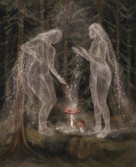 Missy в Tumblr: Forest spirits Art by Joséphine Klerks Amanita muscaria, Fly Agaric mushroom: 🍄 commonly known as the fly agaric or fly... Fae Art, Forest Spirits, Bizarre Magazine, Beautiful Bizarre, Amanita Muscaria, Illustration Series, Aquarius Season, Fairy Illustration, Mushroom Fairy