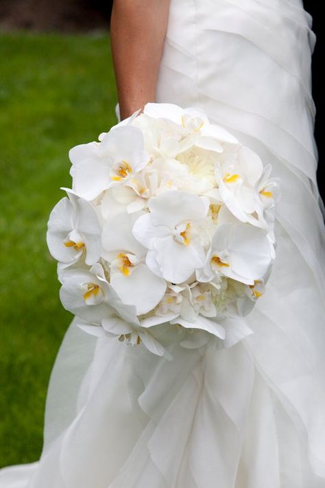 Great orchids! Gardenia Bouquet, White Orchid Bouquet, Elopement Venues, Ivory Wedding Flowers, Orchid Bouquet, White Weddings, Favourite Flowers, Orchid Wedding, Bouquets Wedding