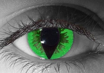 Green Reptile Special Effect Contact Lenses $29.50 Color Contacts For Halloween, Cat Eye Contacts, Black Contact Lenses, Green Cat Eye, Costume Contact Lenses, Green Contacts Lenses, Prosthetic Makeup, Cosmetic Contact Lenses, Eye Contacts