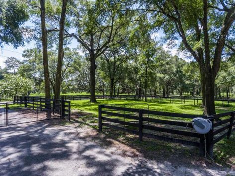 5 Acre Horse Farm Layout, 10 Acre Horse Farm Layout, Horse Farm Layout With House, 10 Acre Farm Layout, Farm Layout 10 Acres, 10 Acre Farm, Farm Horses Country Living, Horse Ranch Property, Equine Property