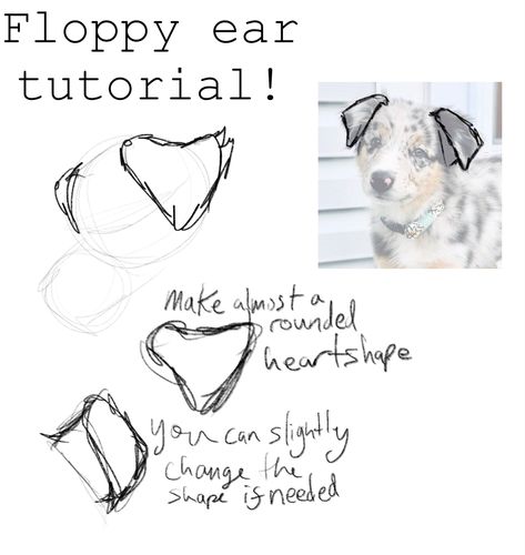 How To Draw Husky, Dog Ear Reference, Puppy Ears Drawing, Dog Ears Drawing, Canine Drawing, Cat Drawing Tutorial, Creative Drawing Prompts, Canine Art, Art Tools Drawing