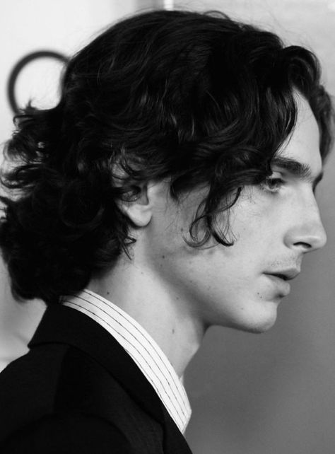 Timmy T, Regulus Black, Best Supporting Actor, Side Profile, Timothee Chalamet, White Aesthetic, A Black, Curly Hair, Actors & Actresses