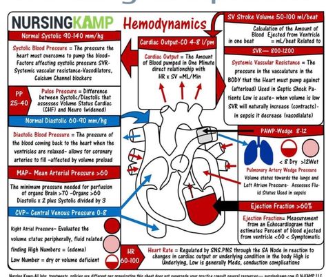 Cardiac Catherization Nursing, Cardiac Surgery Nursing, Hemodynamics Nursing, Cardiac Pathology, Paramedic Study, Cath Lab Nursing, Cardiac Cath, Patient Care Technician, Nurse Notes