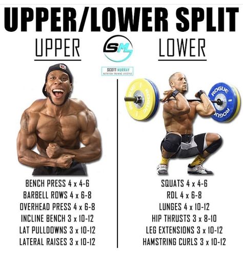 Upper And Lower Body Workout, Lower Workout, Whole Body Workouts, Full Body Workout Routine, Workout Splits, Gym Workout Chart, Weight Training Workouts, Body Workout Plan, Workout Chart