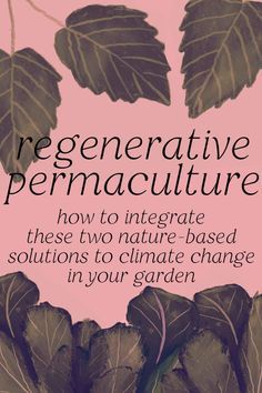 Learn how permaculture and regenerative gardening techniques work together in our full guide to integrating these two nature-based solutions to climate change in your backyard. Regenerative Gardening At Home, Agroforestry Permaculture, Permaculture Layout, Regenerative Gardening, Permaculture Garden, Gardening Indoors, Community Ideas, Regenerative Farming, Garden Sanctuary