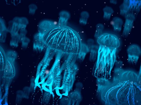 Jellyfish scene 5   short   dribble   30fps Morbius Movie, Stim Board Gifs, Sensory Images, Stimboard Gifs, Stim Gifs, Gif Background, Stim Board, Sensory Board, In Gif