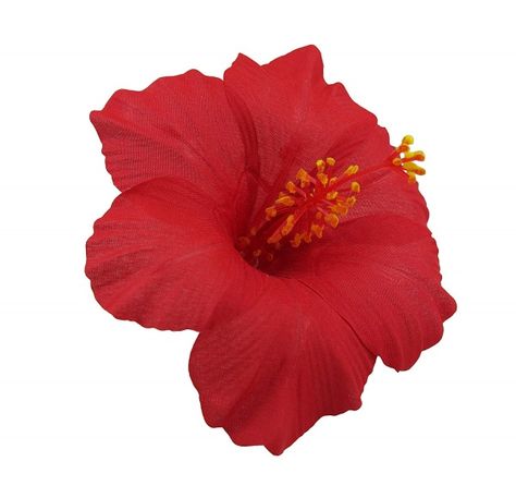 Hibiscus Flower Hair Clip, Aesthetic Illustrations, Hawaiian Flower Hair, Hawaii Packing List, Hawaii Packing, Grass Painting, Hawaiian Hibiscus, Hawaiian Flower, Red Art Print