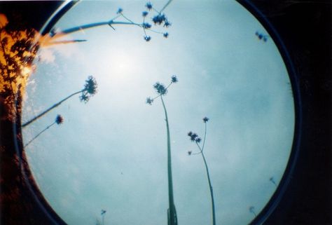 fisheye photography | 140] Lomography Fisheye One by ... | photography Lomo Photography, Lomography Fisheye, Dream Nature, Fisheye Photography, Fish Eye, Personal Photo, Love Photography, Life Is Beautiful, Beautiful Images