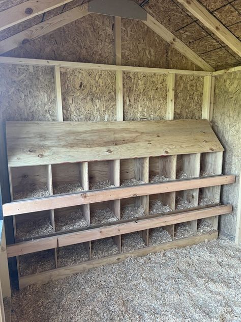 DIY Nesting Box – Extra Large Tire Nesting Boxes, Cheap Nesting Boxes For Chickens, Diy Chicken Nesting Boxes Simple, Chicken Nesting Boxes Diy, Diy Roosting Bars For Chickens, Chicken Nesting Box Ideas Diy, Diy Nesting Boxes For Chickens, Nesting Box Plans, Chicken Nesting Box Ideas