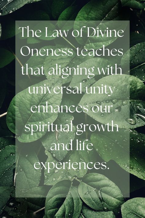 Aligning with the Law of Divine Oneness allows us to tap into universal unity, accelerating our spiritual journey and enriching life experiences. Law Of Divine Oneness, Divine Alignment, Divine Oneness, Life Experiences, Spiritual Journey, Spiritual Growth, Tap, Spirituality