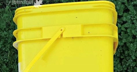 Repurposed Cat Litter Bucket, Upcycle Inspiration, Reuse Crafts, Tidy Cats, Kitty Litter, Gardening Vegetables, Garage Garden, Upcycle Ideas, Organize Your Home