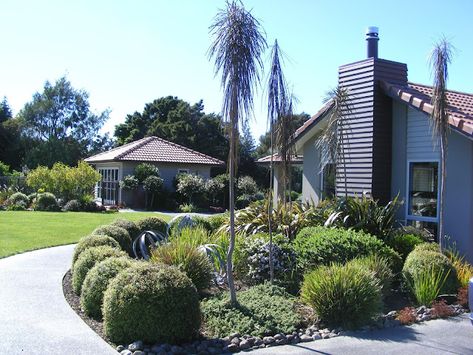 Rachel Callaghan Landscape Architect, NZ: NATURAL NZ FLAVOUR - MY DESIGNS Nz Garden Ideas, Nz Native Garden, Nz Native Garden Landscape Design, Garden Ideas Nz, Bay Laurel Tree, Small Ornamental Trees, Native Plant Landscape, Colorful Shrubs, Driveway Entrance Landscaping