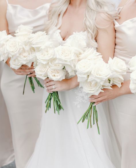 White Camellia Bouquet, All White Rose Bouquet Wedding, Modern White Rose Bouquet, Modern Rose Bouquet, All White Rose Bridal Bouquet, Reflexed Rose Bouquet, White Rose Bouquet Bridesmaid, White Rose Bridesmaid Bouquet, White Bridesmaid Bouquet