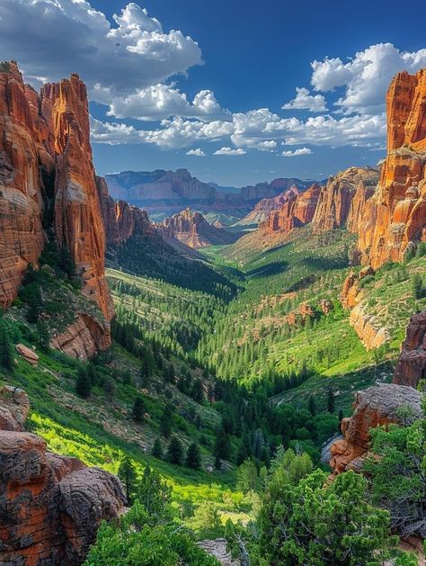 Zion national park Zion National Park Utah, Fall Camping, Pretty Landscapes, Zion National Park, Nature Aesthetic, Pretty Places, Nature Travel, Travel Aesthetic, Nature Pictures