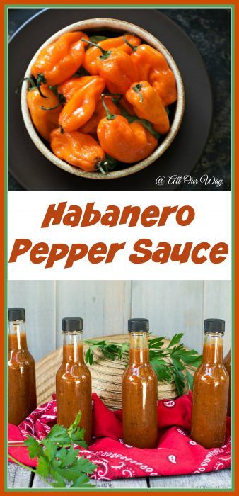 Garlic Habanero Hot Sauce Recipe, Canned Habanero Hot Sauce, Shelf Stable Hot Sauce Recipe, Habanero Hot Sauce Recipe, Habanero Recipes, Peach Sauce, Habanero Pepper, Homemade Hot Sauce, Habanero Sauce