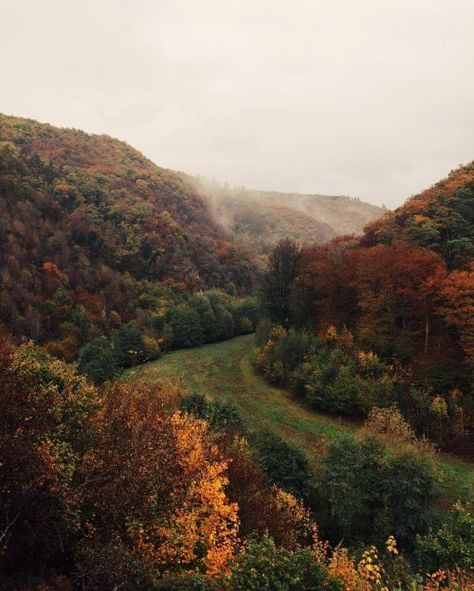 #MountScenery Temperate broadleaf and mixed forest, #Shrubland #Tree #Biome Woodland, Vegetation, Deciduous - Follow #extremegentleman for more pics like this! Deciduous Forest Biome, Temperate Deciduous Forest, Biomes Project, Deciduous Forest, Fantastic Voyage, Most Beautiful Images, World Images, Amazing Nature Photos, Biome