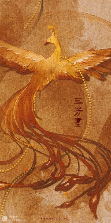 Chinese Mythology Aesthetic, Phoenix Aesthetic Bird, Phoenix Aesthetic Wallpaper, Phoenix Illustration, Gravity Art, Phoenix Pattern, Chinese Background, Chinese Aesthetic, Dragon Artwork Fantasy