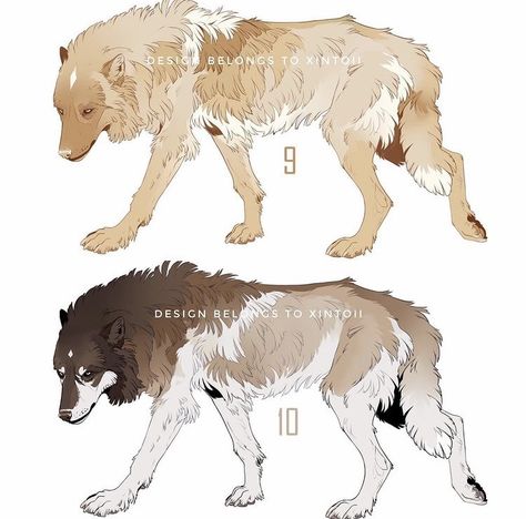 Canine Odyssey Morphs, Wolf Adoptables, Wolf Oc Art, Canine Odyssey, Skyrim Werewolf, Wolf Character Design, Animal Drawing Inspiration, Wolf Oc, Wolf Poses