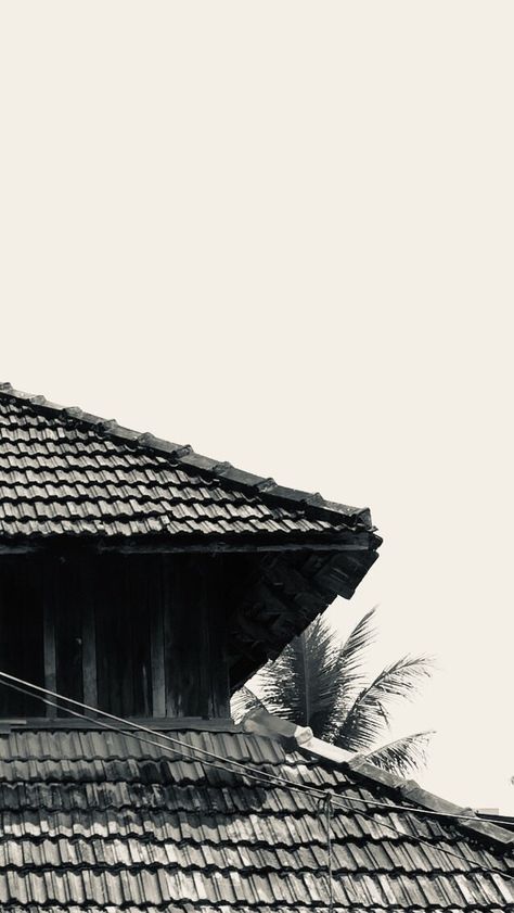 Esthetic Pic For Insta, Random Clicks Photos, Random Snaps Aesthetic, Aesthetic Fake Snap, Kerala Photography, Nature Photography Quotes, Photography Iphone, Travel Picture Ideas, Beautiful Night Images