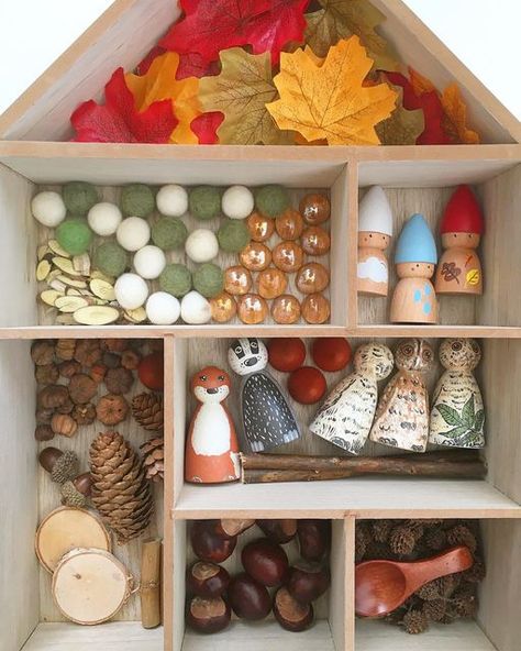 Reggio Provocations, Tinker Tray, Counselling Tools, Autumn 23, Instagram Autumn, Loose Parts, Play Ideas, Sensory Bins, 4 Seasons