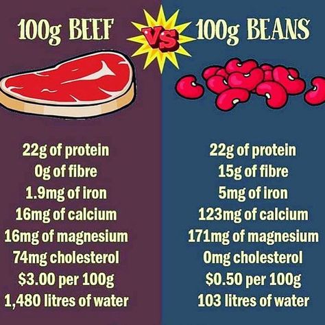 Why do people still think that they need to eat meat in order to get their protein in? Legumes contain a lot of protein and other minerals. Vegetarian Quotes, Stretch Therapy, Reasons To Be Vegan, Vegan Facts, Starch Solution, Vegan Cinnamon Rolls, Rp Characters, How To Become Vegan, Vegan Guide