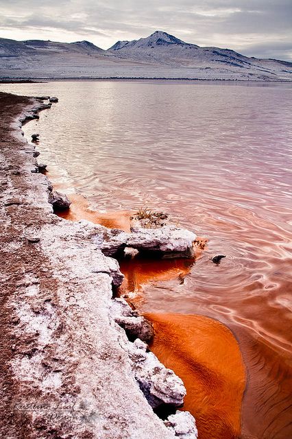 Our family went by train from San Francisco CA to Chicago in 1957 upon our arrival in the U.S. and the train track ran right over the Great Salt Lake.  I remember seeing a lot of white! Great Salt Lake Utah, Great Salt Lake, Utah Travel, Salt Lake City Utah, Pretty Places, Travel Usa, Beautiful World, Cool Places To Visit, Beautiful Landscapes